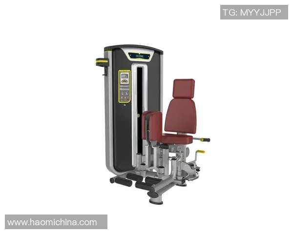 在家健身器材选择指南助你轻松打造理想家庭健身空间